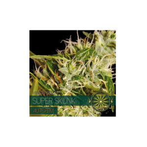 Auto Flowering SUPER SKUNK - 05 Zaden: Easy-to-Grow Classic