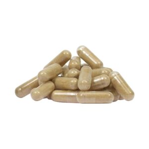 Alternative view of Lion’s Mane Brain Booster – 120 Capsules: Cognitive Naturally