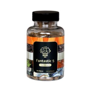 Lions Mane Fantastic 5 extract capsules – 120 stuks