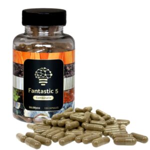 Alternative view of Lions Mane Fantastic 5 extract capsules – 120 stuks
