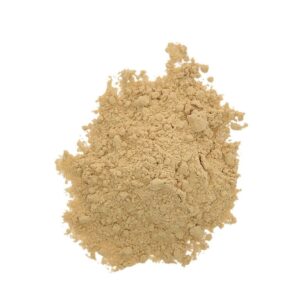 Alternative view of Lion’s Mane – 100 Gram: A Powerful Mushroom for Cognitive