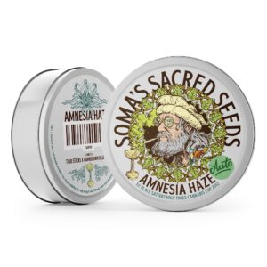 Amnesia Haze Autoflower: Legendary Strain of Excellence