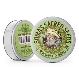 New York City Diesel - 3 Seeds - Soma Sacred Seeds